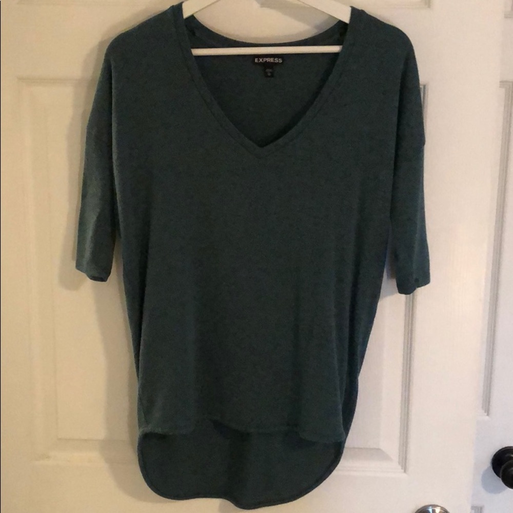 Teal v neck sweater.
